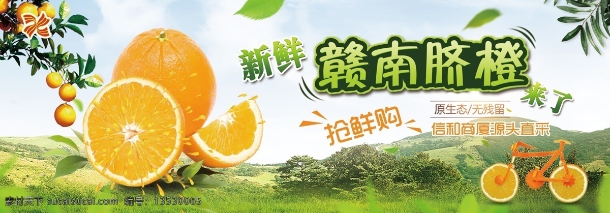 赣南脐橙 海报 橙子 水果采摘 水果 分层