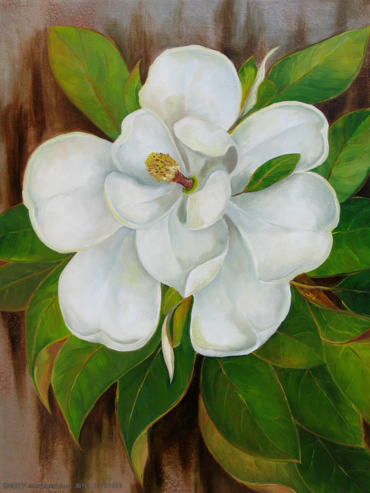 油画白色花朵 花朵 花卉 花瓣 植物 白色 装饰画 油画 文化艺术 绘画书法