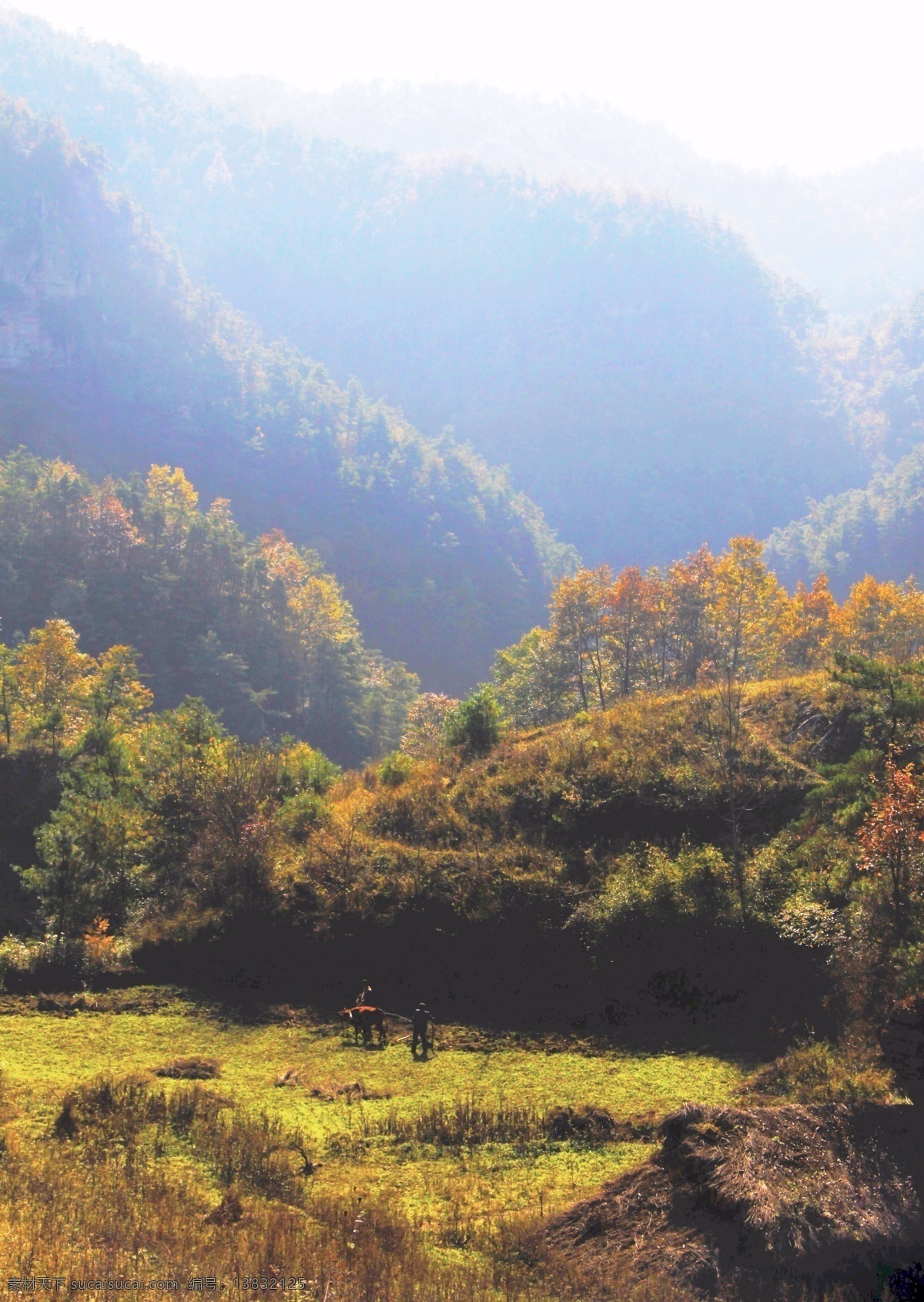 风景免费下载 背景 大山 大树 风景 蓝天 背景图片