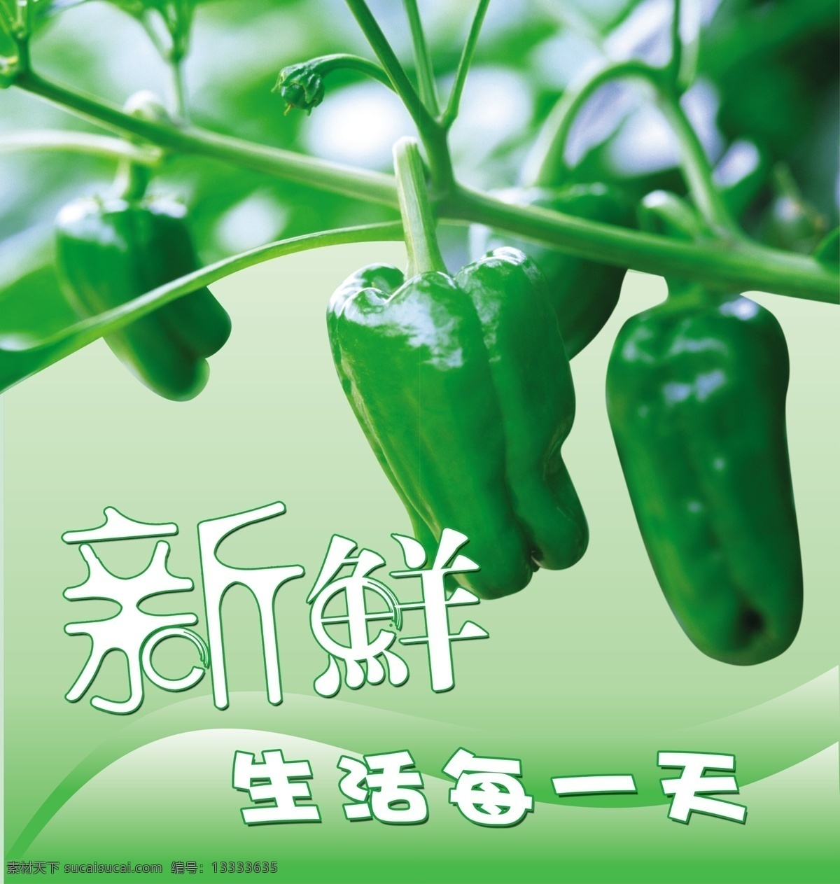 蔬菜 广告设计模板 辣椒 绿色 青椒 新鲜 源文件 生活 天 风景 旅游餐饮