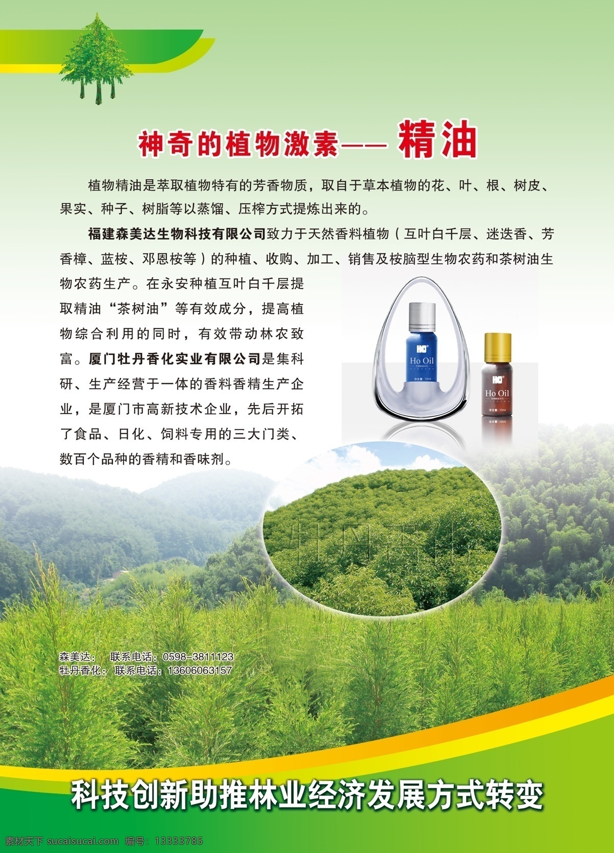 植物 精油 模板下载 福建 植物精油 福建省 林业 业 厅 618 展会 展板 现代林业 科技成果 转化 海西 闽台合作 福州 项目 成果 交易会 其他展板设计