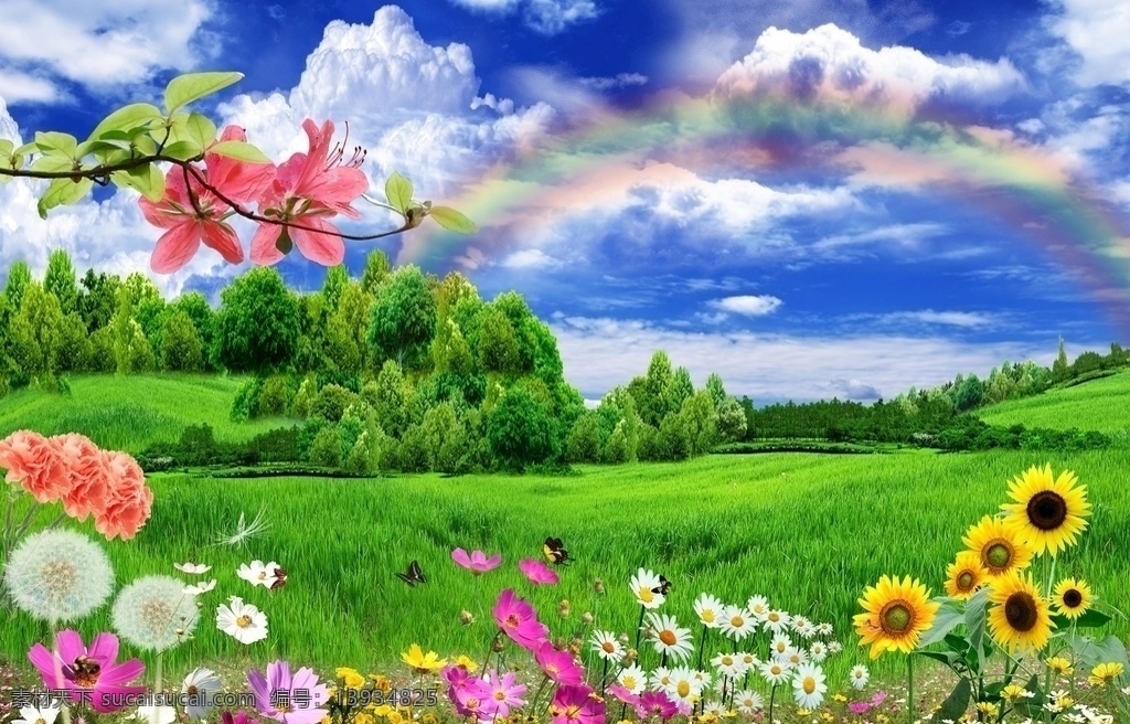 惬意 彩红图片 彩红 向日葵 太阳花 三阳开泰 浦公英 蓝天 白云 自然景观