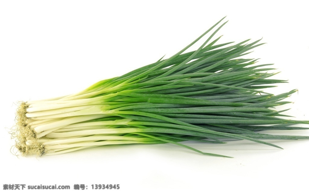 小葱 葱 绿色新鲜蔬菜 食物原料 餐饮美食 生物世界 蔬菜