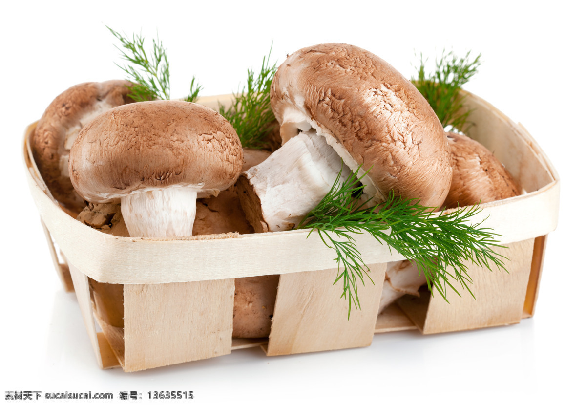 蘑菇图片素材 蘑菇 草 小蘑菇 食物 蔬菜 生物世界 蘑菇图片 餐饮美食