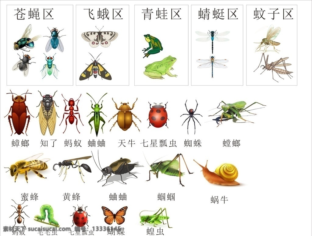 昆虫大汇总 昆虫汇总 小动物 益虫 害虫 自然生物飞蛾 青蛙 文字 知了 蝴蝶 蜗牛 蛐蛐 蝈蝈 蟑螂 螳螂 天牛 蜘蛛 七星瓢虫 蜻蜓 蚂蚁 毛毛虫 蜜蜂