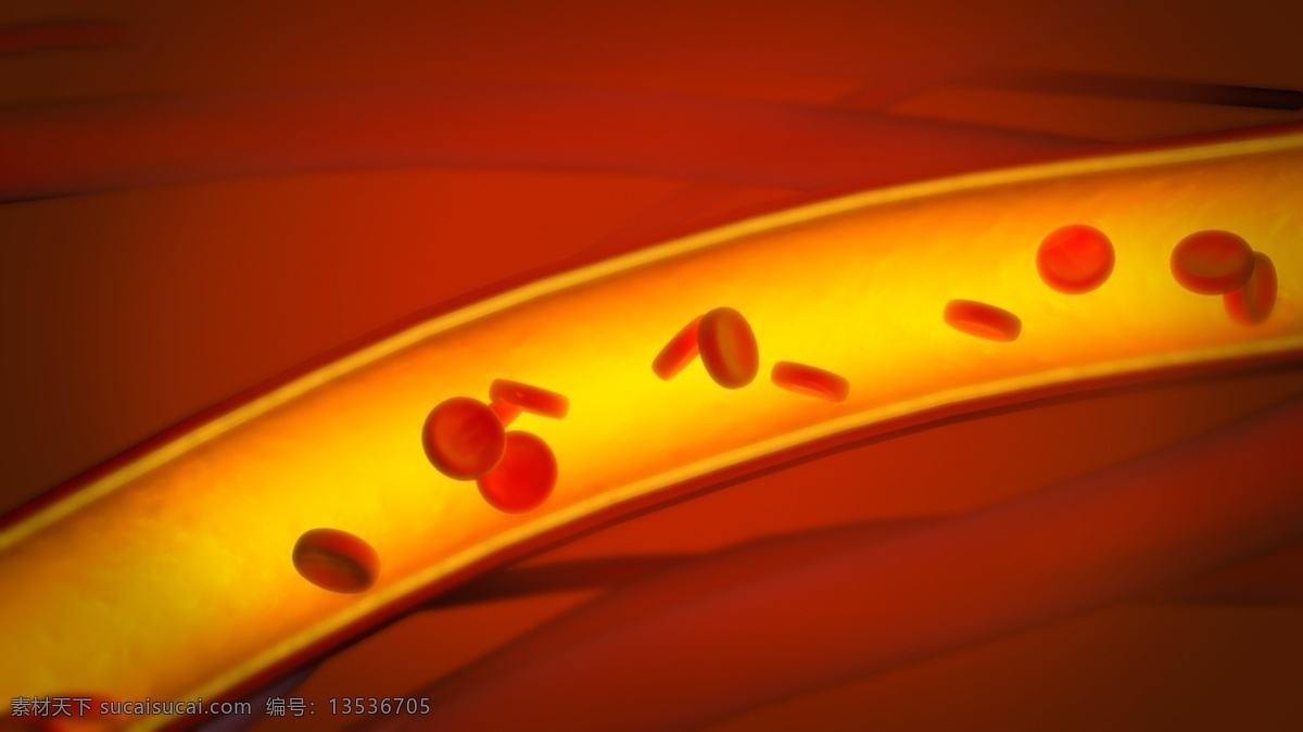 血管 红细胞 医疗 医疗图片 psd源文件