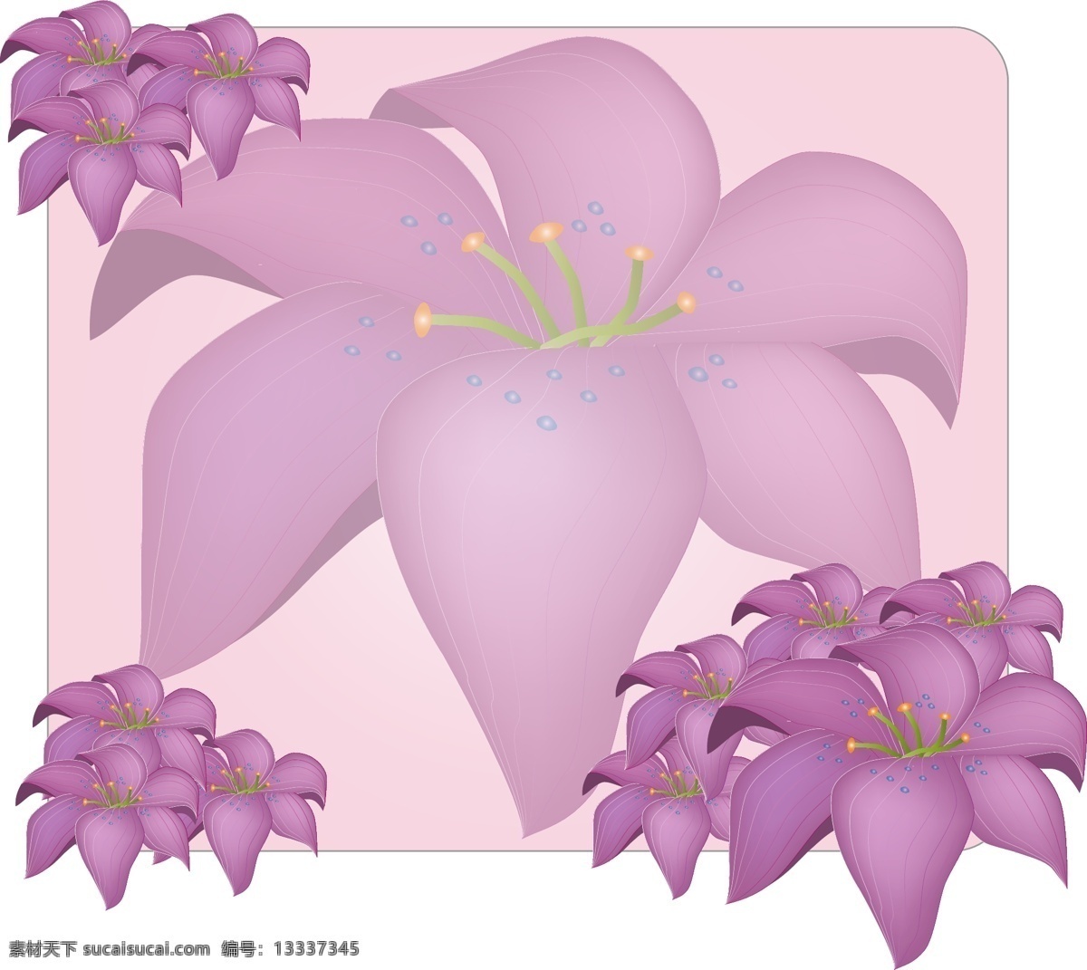矢量 浪漫 花卉 缤纷 时尚 背景 潮流 时尚色彩 矢量花朵 矢量素材 矢量图 花纹花边