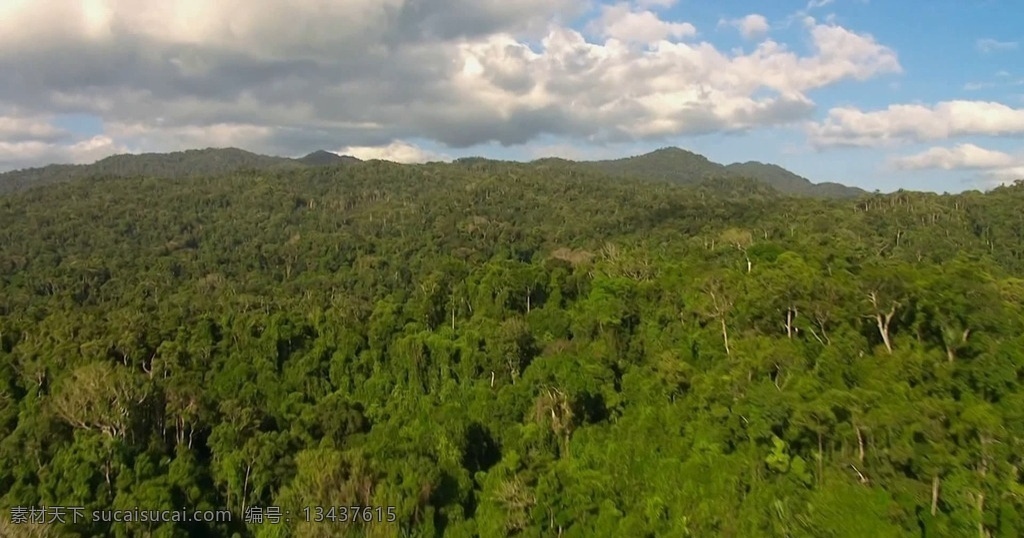 航拍原始森林 航拍森林 原始森林 自然风光 大自然 森林 多媒体 实拍视频 mov