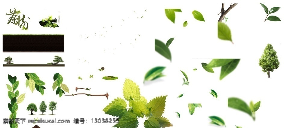 茶树 叶子 绿色 花边 分层 源文件