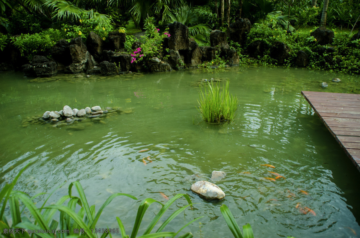 鱼水 庭院 景观 绿色 植物 水潭 护眼屏保 自然景观 自然风景