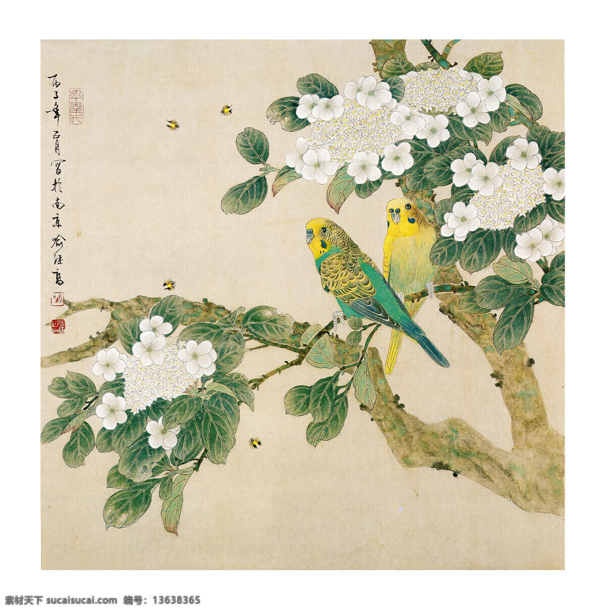 鹦鹉白花 鹦鹉 白花 现代 工笔 花鸟 美术 绘画 中国画 工笔重彩画 彩墨画 艺术 绘画书法 文化艺术 传统文化