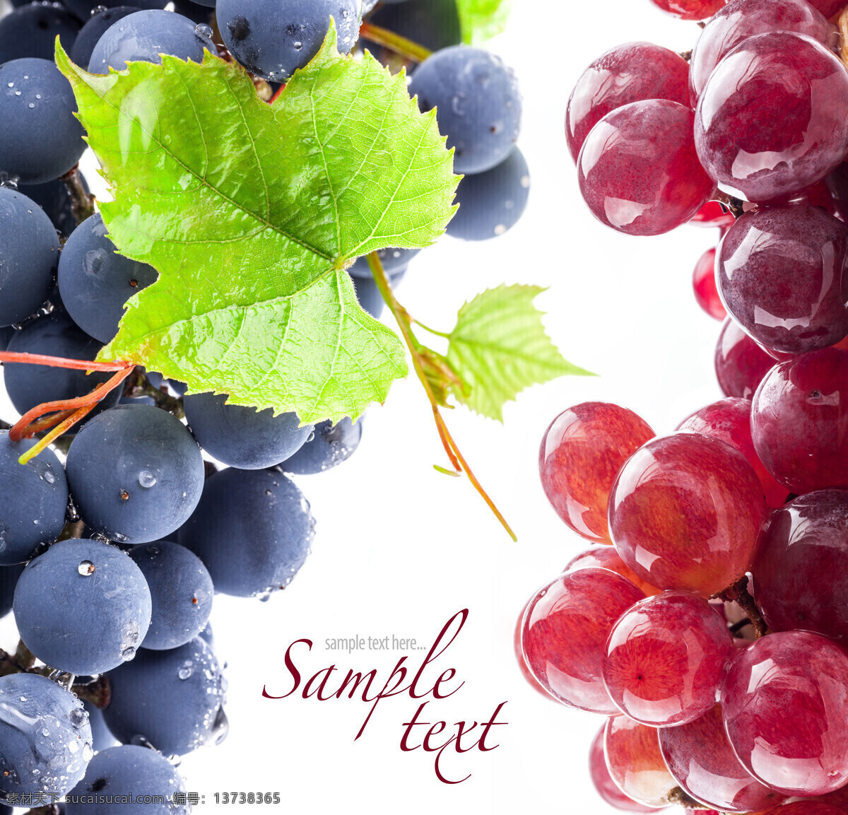 新鲜葡萄背景 葡萄 新鲜葡萄 新鲜水果 葡萄背景 水果背景 提子 果实 水果蔬菜 餐饮美食 白色