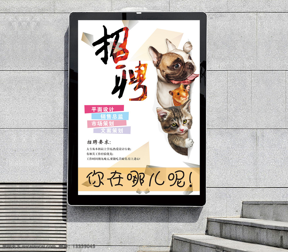 招聘 海报 平面设计 动物 简洁 简约 创意 你在哪