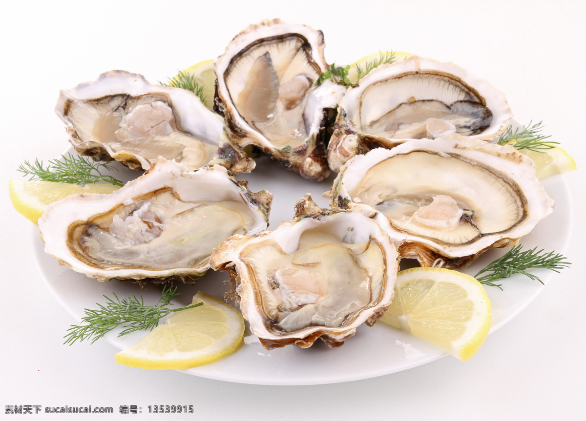 海蛎子 海蛎 牡蛎 生蚝 海鲜 生鲜 美食 传统美食 餐饮美食
