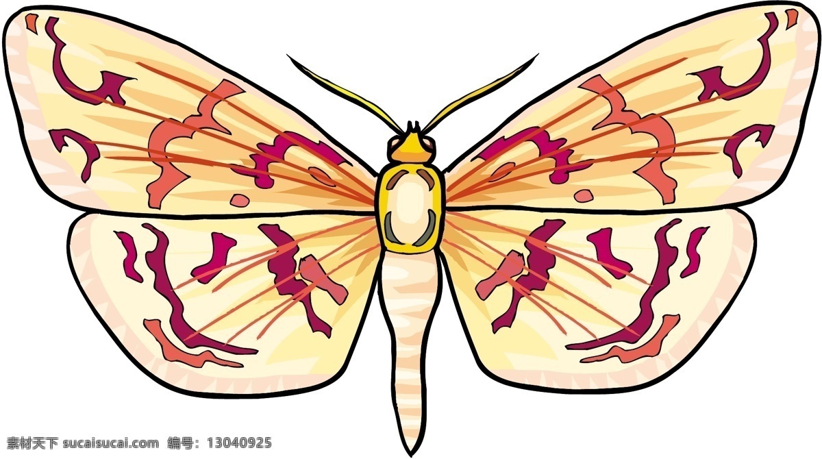 五彩蝴蝶 矢量素材 格式 eps格式 设计素材 昆虫世界 矢量动物 矢量图库 白色