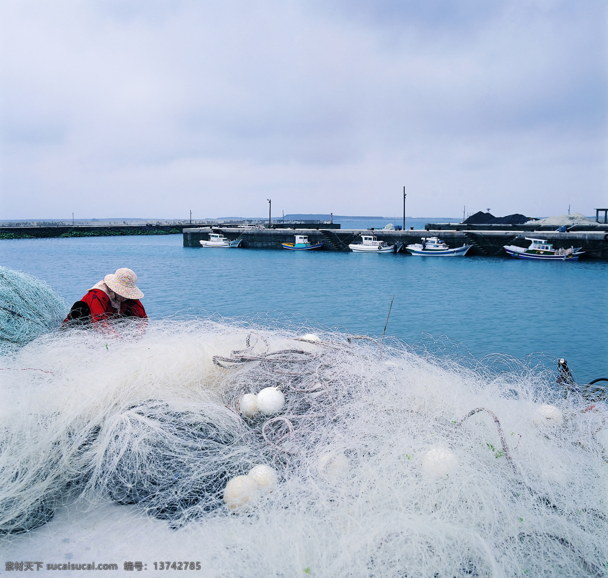 谋生方式 采茶叶 织布 种植 养蓄 捕渔 蓝色