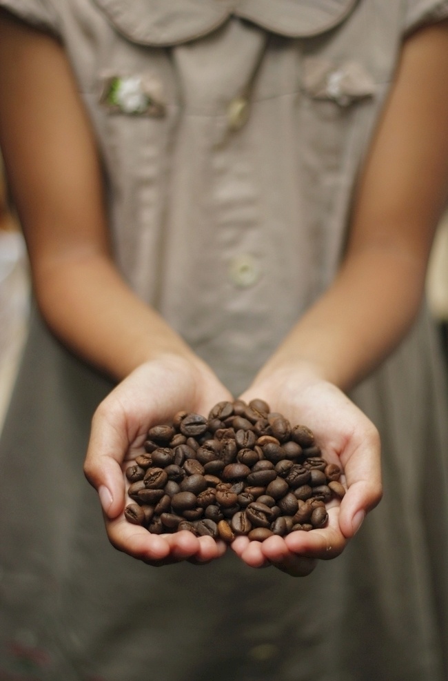 咖啡图片 手捧咖啡豆 咖啡 原料 饮品 饮料 背景 咖啡豆