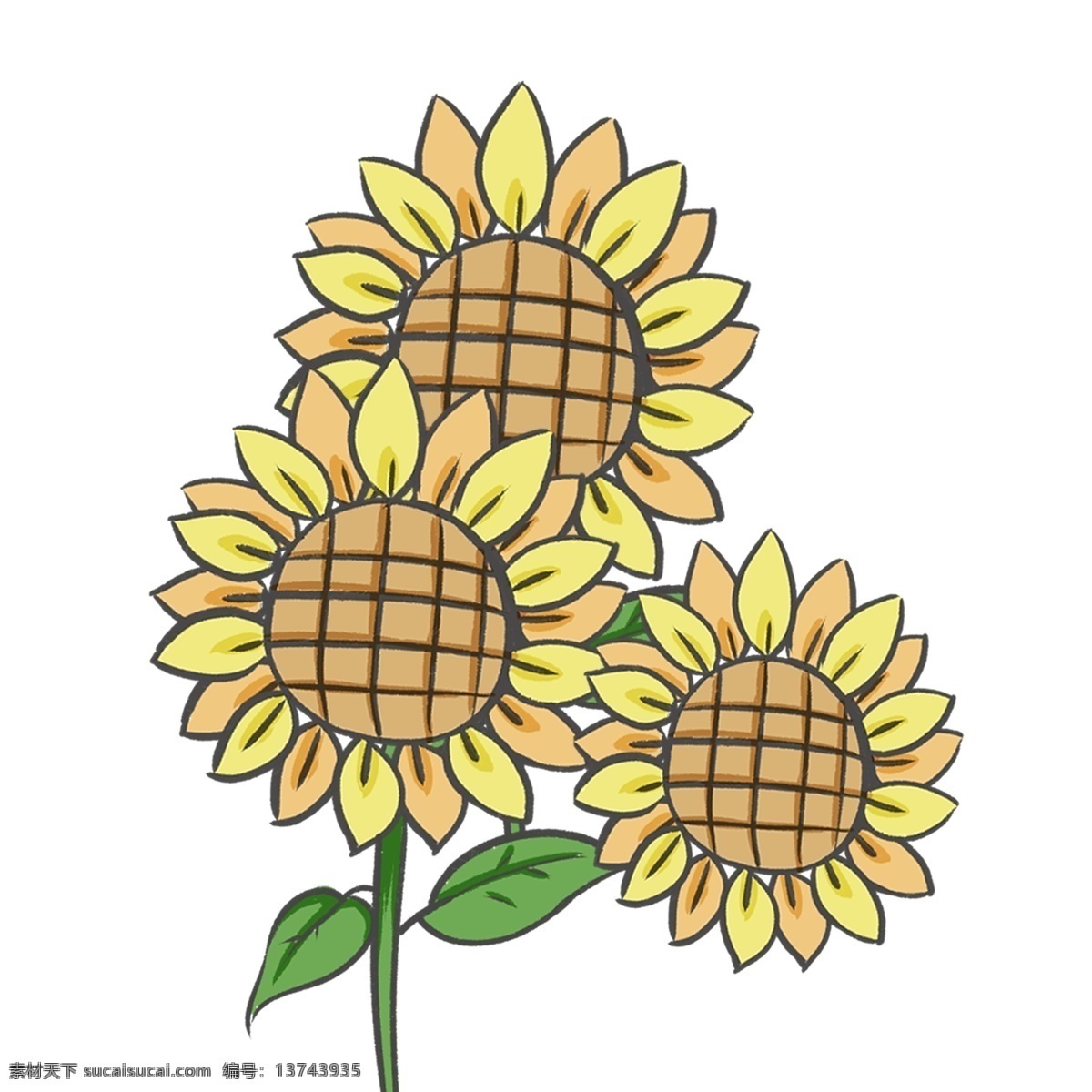 复古 风 太阳花 向日葵 植物 花朵 插画 国民风