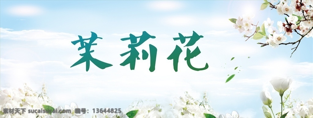 茉莉花 背景 白色花 花海 活动背景 白色 花朵 浪漫 蓝色 绿色