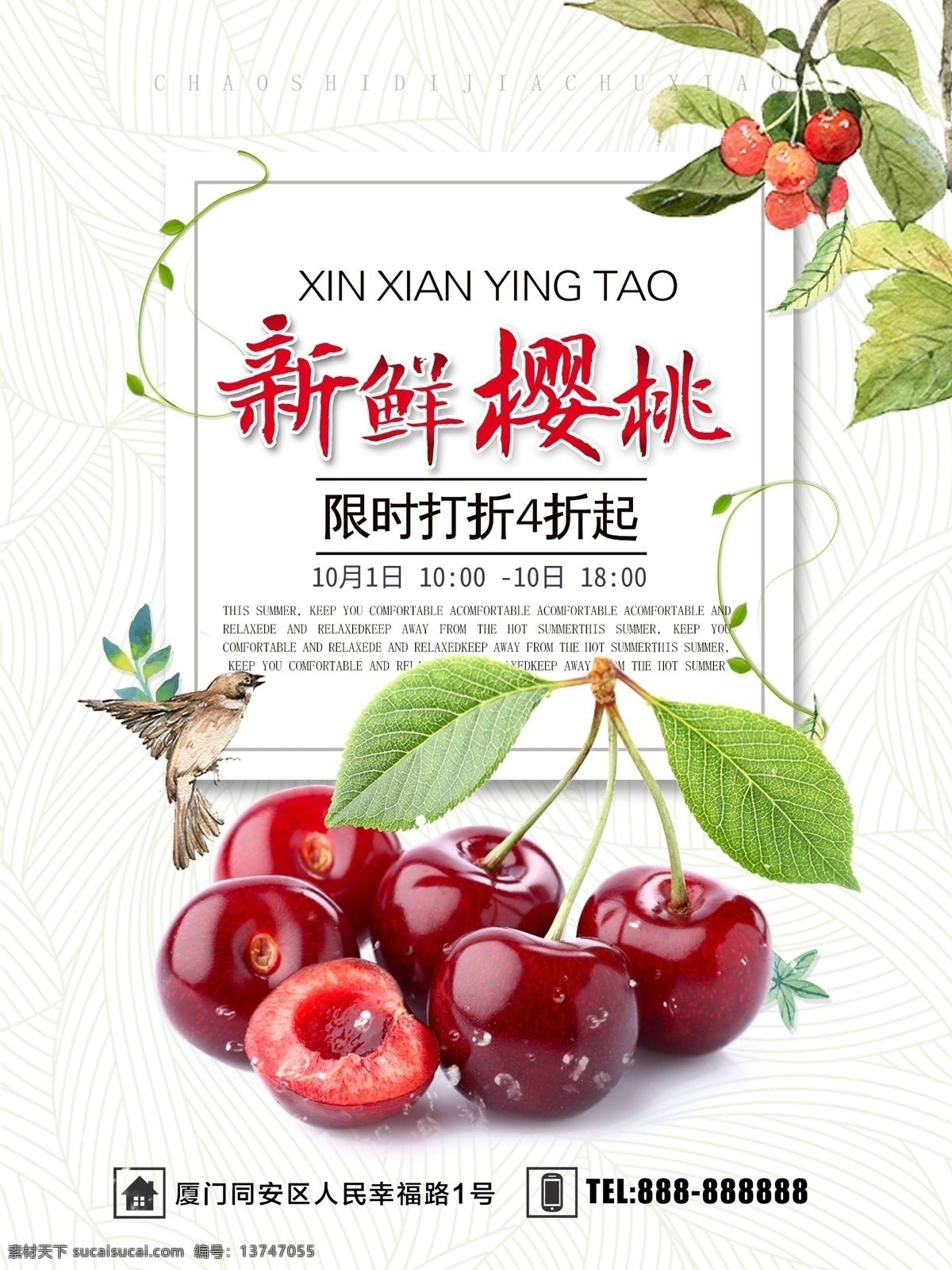山东樱桃 大樱桃 车厘子 樱桃展板 樱桃文化 樱桃素材 樱桃挂画 水果樱桃 樱桃水果 樱桃批发 摘樱桃 批发樱桃 樱桃专卖 樱桃基地 樱桃挂图 樱桃采摘 美味樱桃 吃樱桃 种植樱桃 樱桃熟了 樱桃树 樱桃园 樱桃果园 新鲜樱桃 樱桃特写 樱桃产地 樱桃简介 樱桃介绍 樱桃宣传 樱桃广告