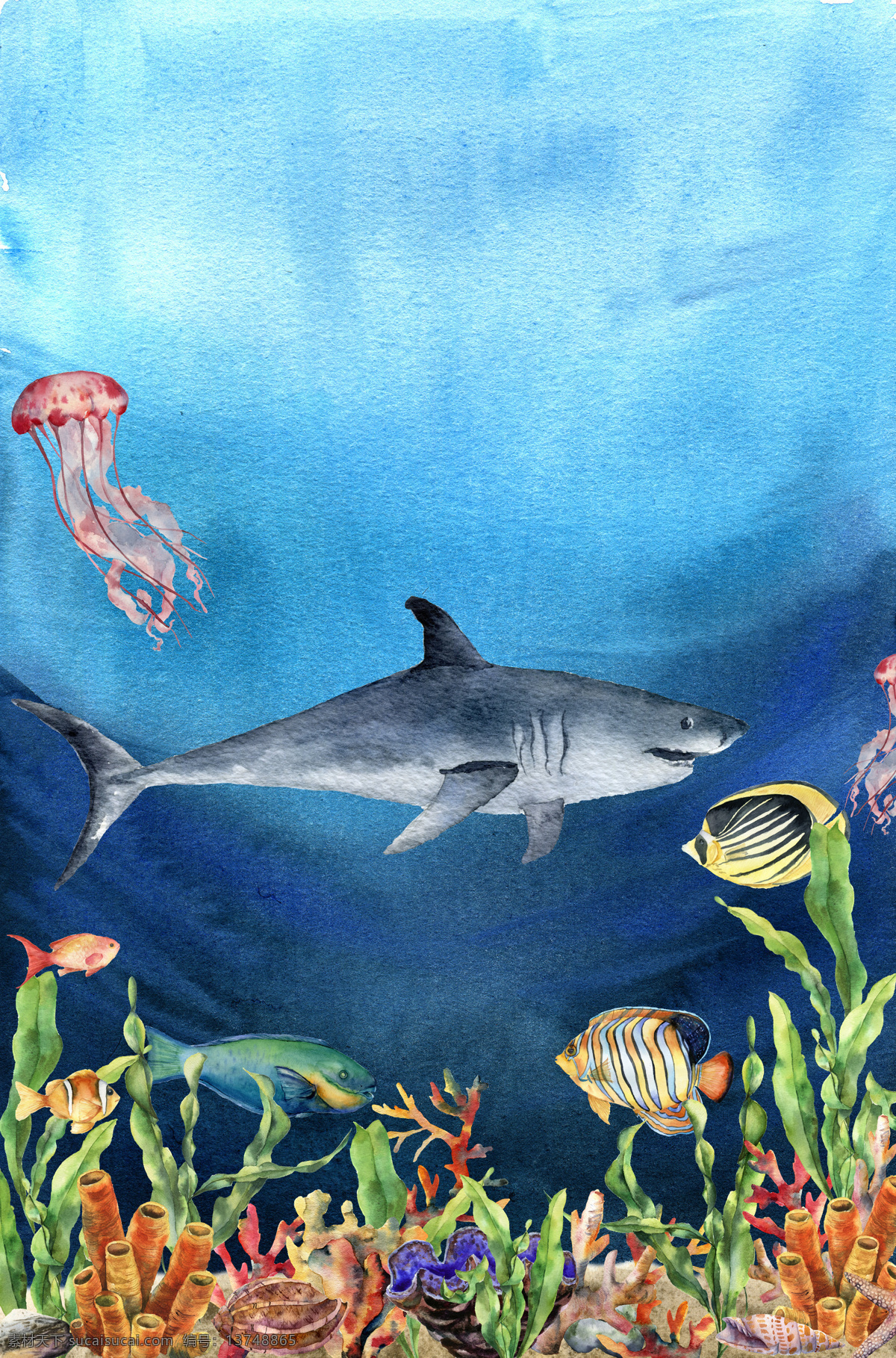 海洋 主题 插画 图案 海螺贝类 海洋生物 热带鱼群 水彩插画 海底世界 海洋生物插画 鱼群插画 装饰图案 水草植物插画