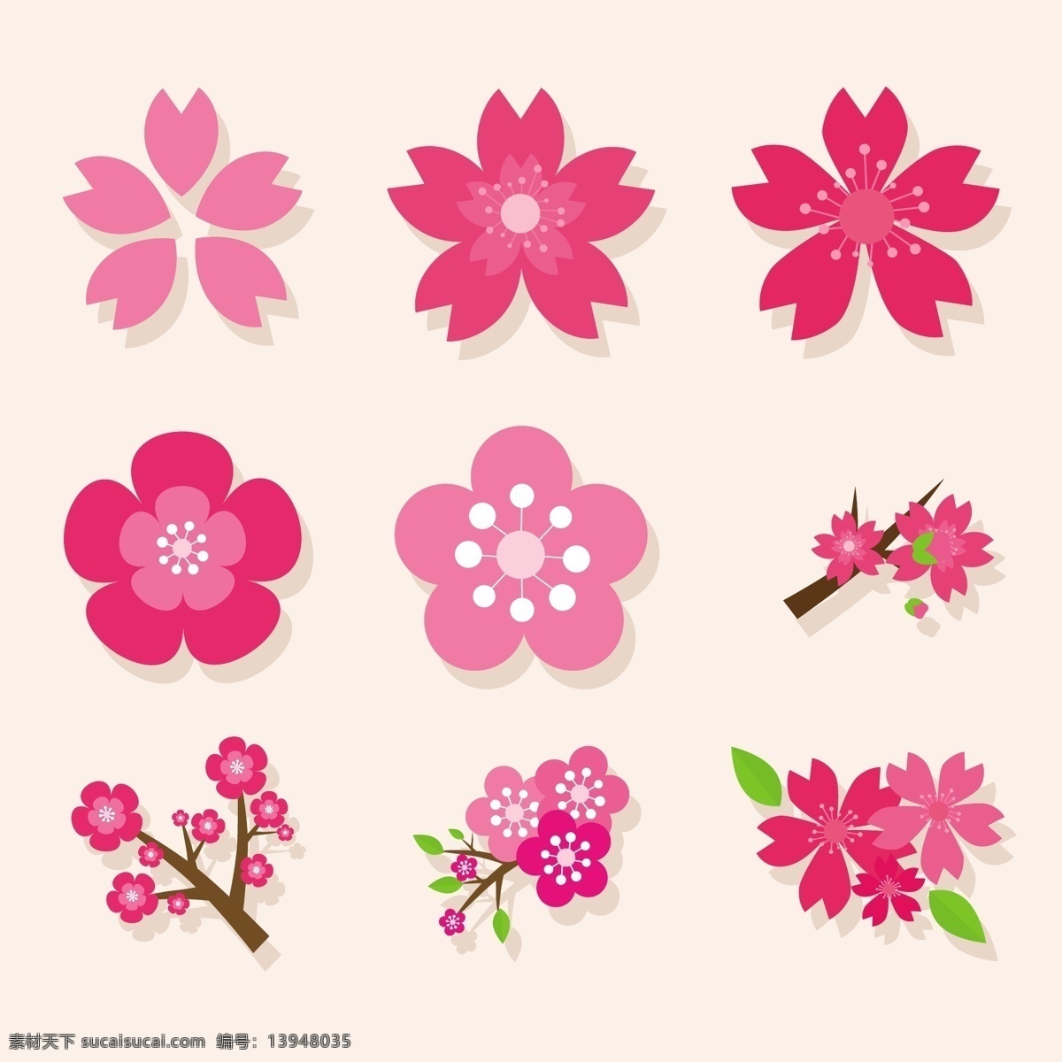 粉色 花 花朵 花卉 樱花 植物 装饰 各种