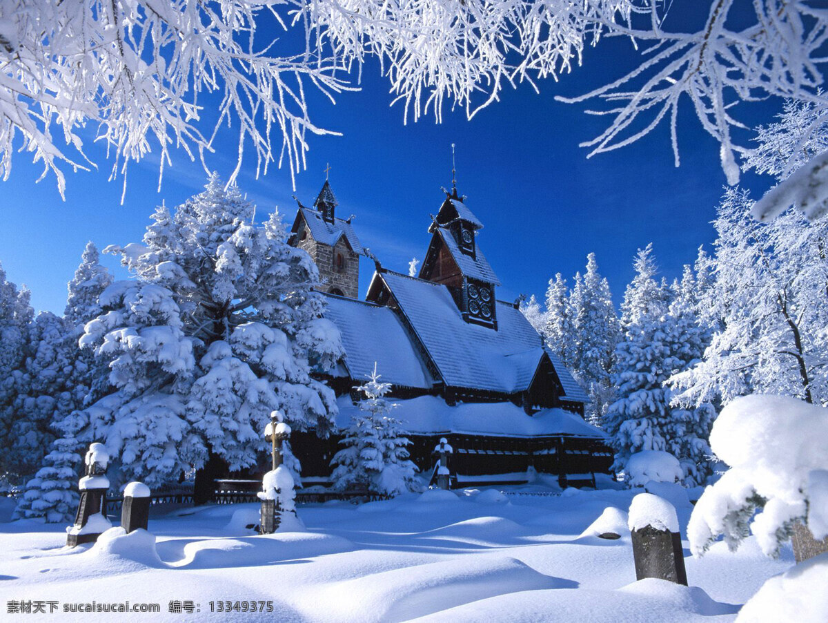 雪景 美丽雪景 圣诞节 背景 插图 雪地 树挂 风景 冬天 冬季 自然景观 自然风景 摄影图库