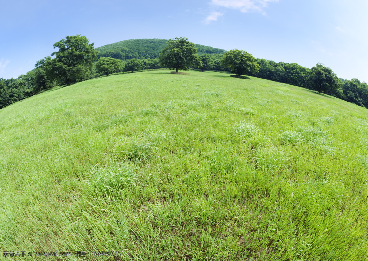 草原风光 草原 牧场 草场 青草 牧草 蓝天 白云 自然风景 山水 田园 自然景观