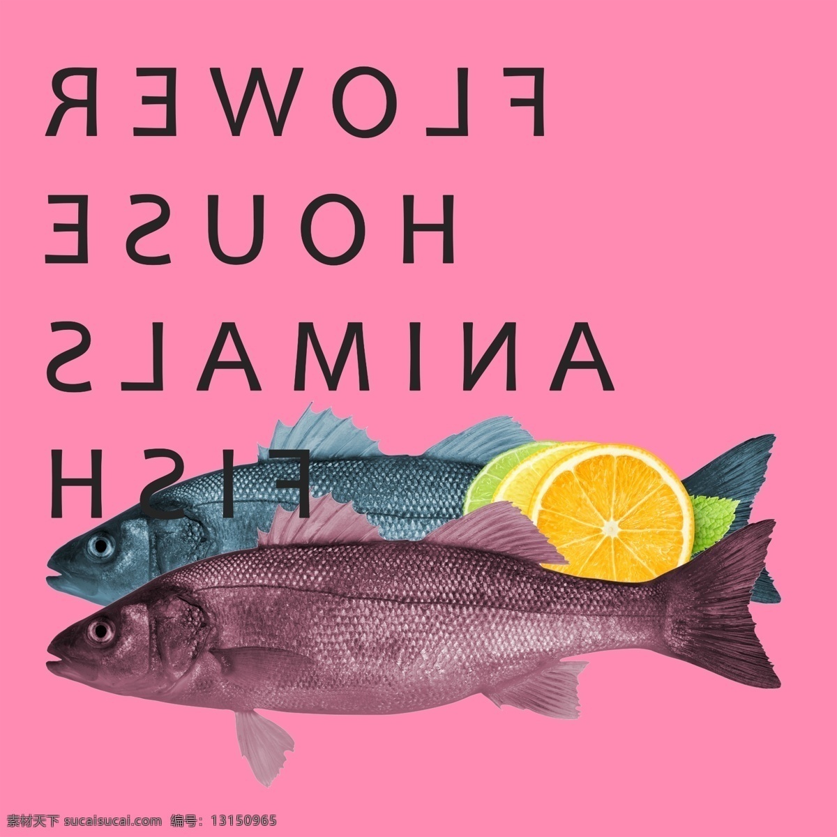 鱼 装饰画 北欧 风格 挂画 餐厅 餐厅挂画 英文字母 动物插画 北欧风格