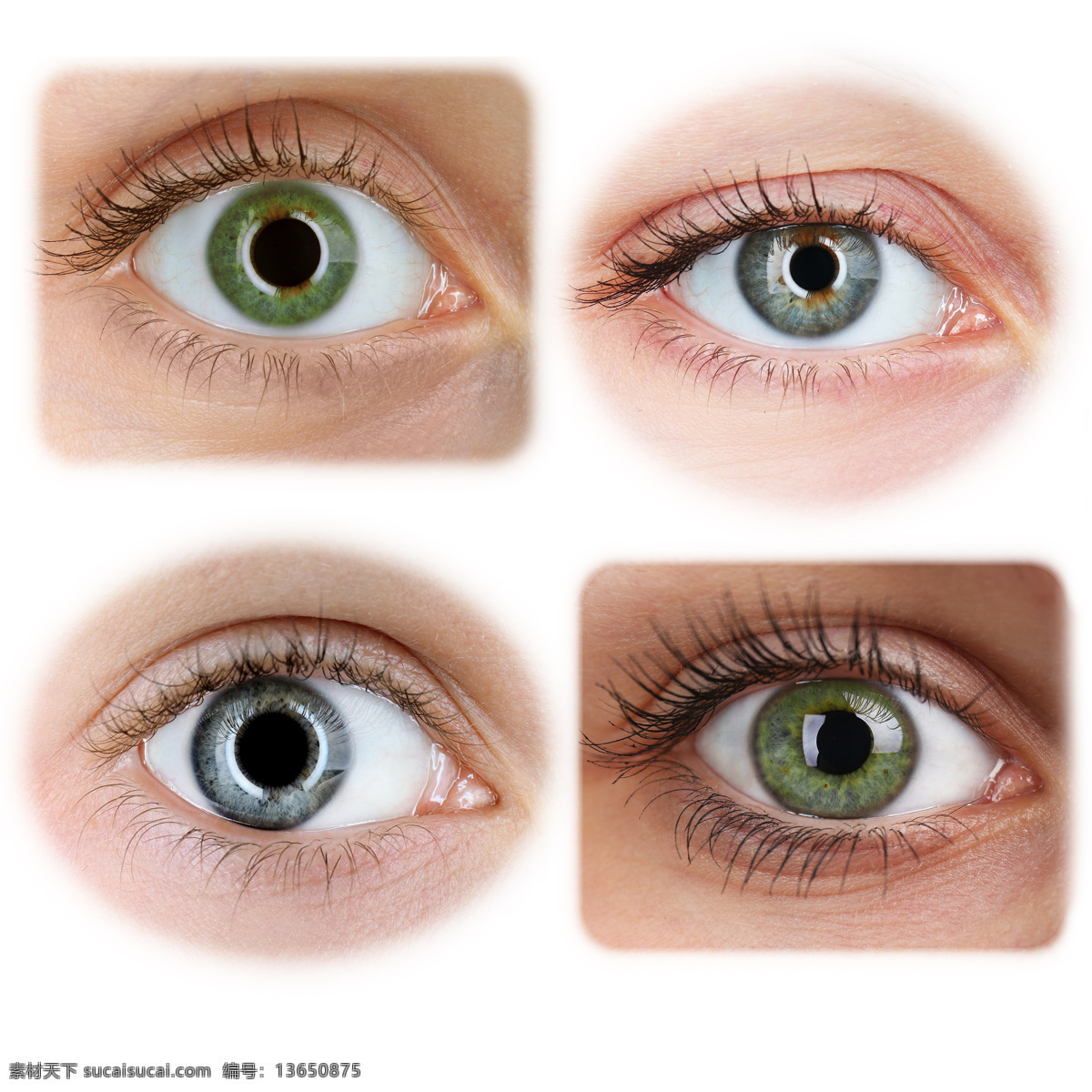 各种 表情 眼睛 视网膜 眼球 眼球结构组织 瞳孔 性感美女 人体器官 人体器官图 人物图片