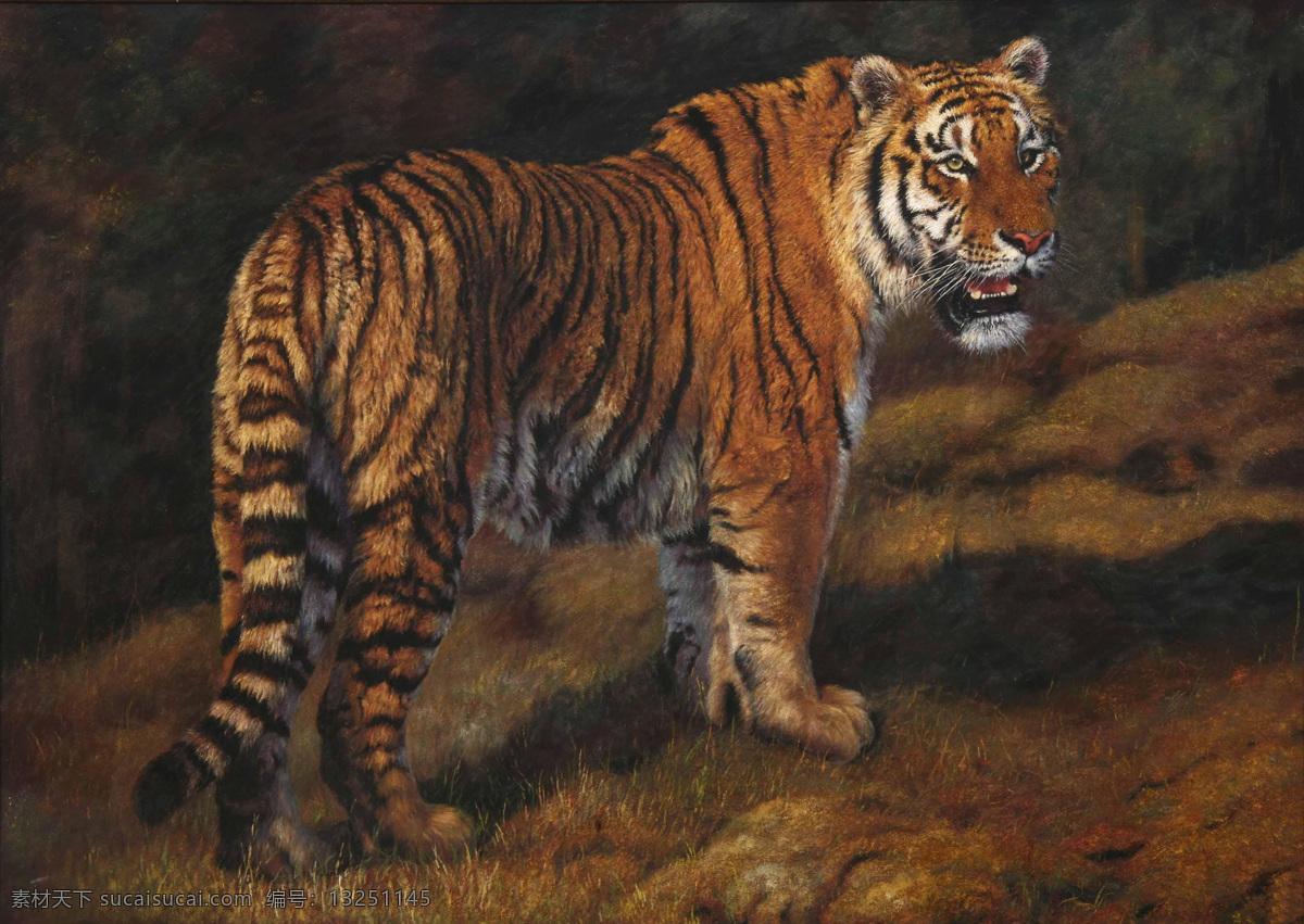 动物油画 虎 绘画 绘画书法 文化艺术 写实油画 艺术 油画虎 油画作品 油画 油画创作 油画写生 家居装饰素材