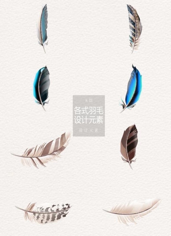 彩色羽毛 五彩羽毛 捕梦网 羽毛 手绘羽毛 装饰图案 波希米亚 摩洛哥 抽象羽毛 水彩羽毛 波西米亚 少数民族元素 梦幻羽毛 矢量羽毛 风铃 梦幻背景 梦幻素材 抽象背景 羽毛风铃