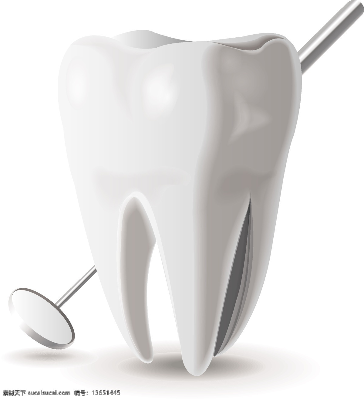 牙齿和牙镜 牙齿 牙镜 牙科 牙齿模型 医疗图标 医药图标 医疗 医学 生活百科 矢量素材 其他模板 白色