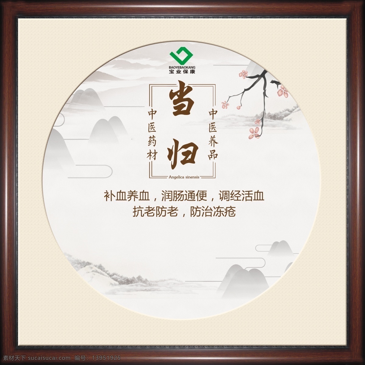 中药挂画 中药 挂画 当归 原创