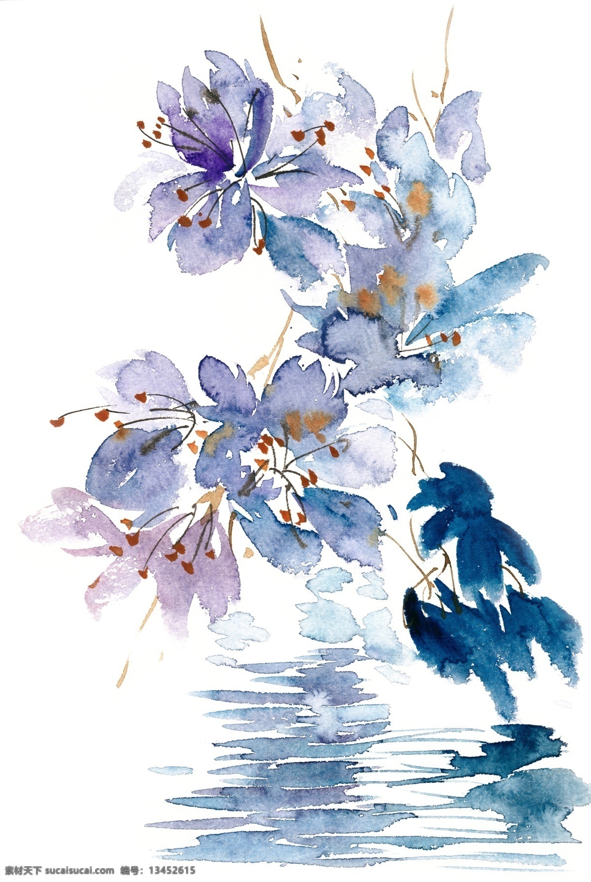 蓝色 花丛 水彩画 免 抠 花卉 淡雅 植物 简约 水彩 透明 手绘 优美 写意 免抠 亮丽 清幽 意境 绘画 逼真 写实