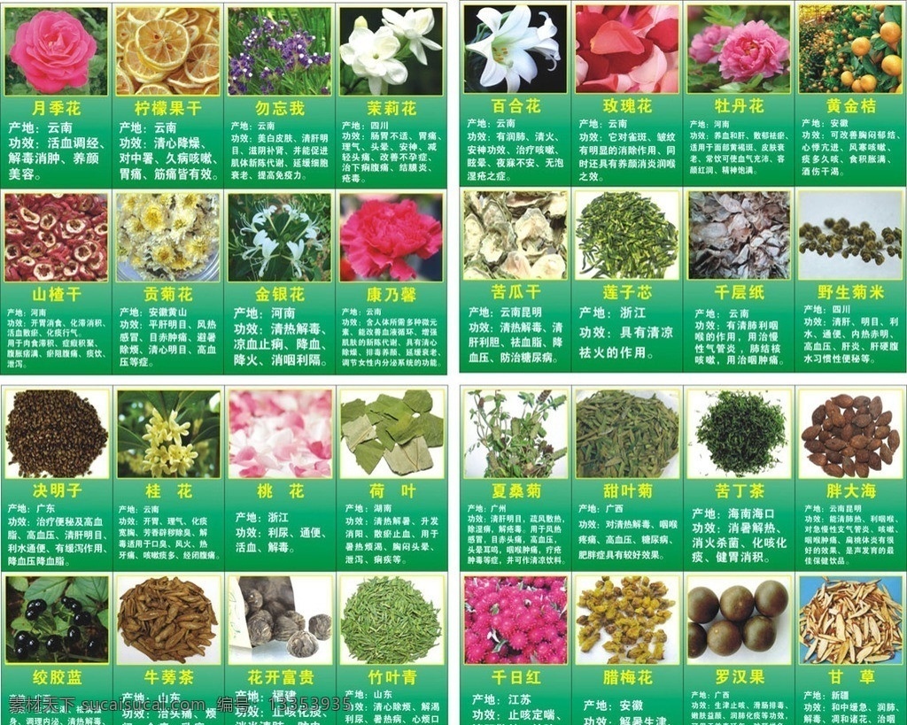 花茶 简介 花茶简介 花茶功效 花茶生产地 各类花茶 花茶图 矢量