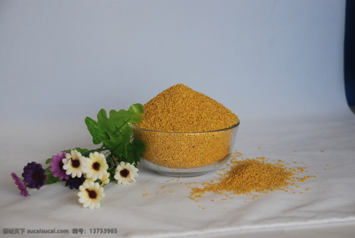 小米 米 摄影素材 生活百科 生活素材 食品 jpg原图 矢量图 日常生活