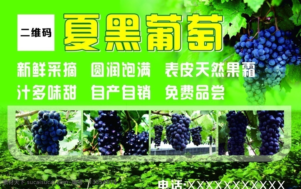 夏黑葡萄广告 夏黑 葡萄 写真 广告 绿色 叶子 树叶 水果 植物 生态 紫葡萄 海报