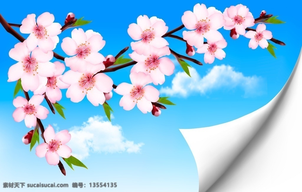 桃花 春季 横幅 绿叶 手绘 背景 精美 樱花 花卉 时尚花纹 矢量 花草背景 花草 生物世界
