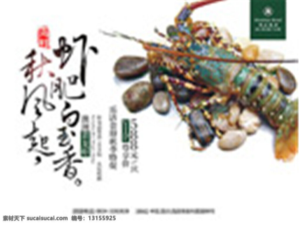 澳洲 青 龙虾 海报 青龙虾 美食 海鲜 宣传海报 白色