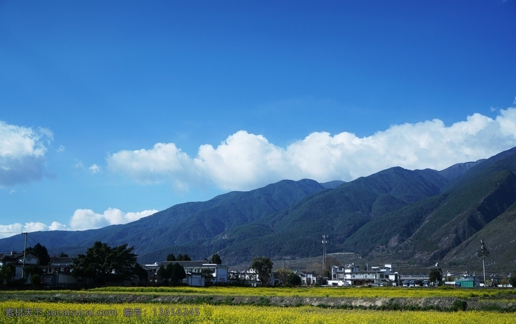 云南大理 苍山 油菜花 花海 蓝天 白云 旅游 自然风景 旅游摄影 国内旅游
