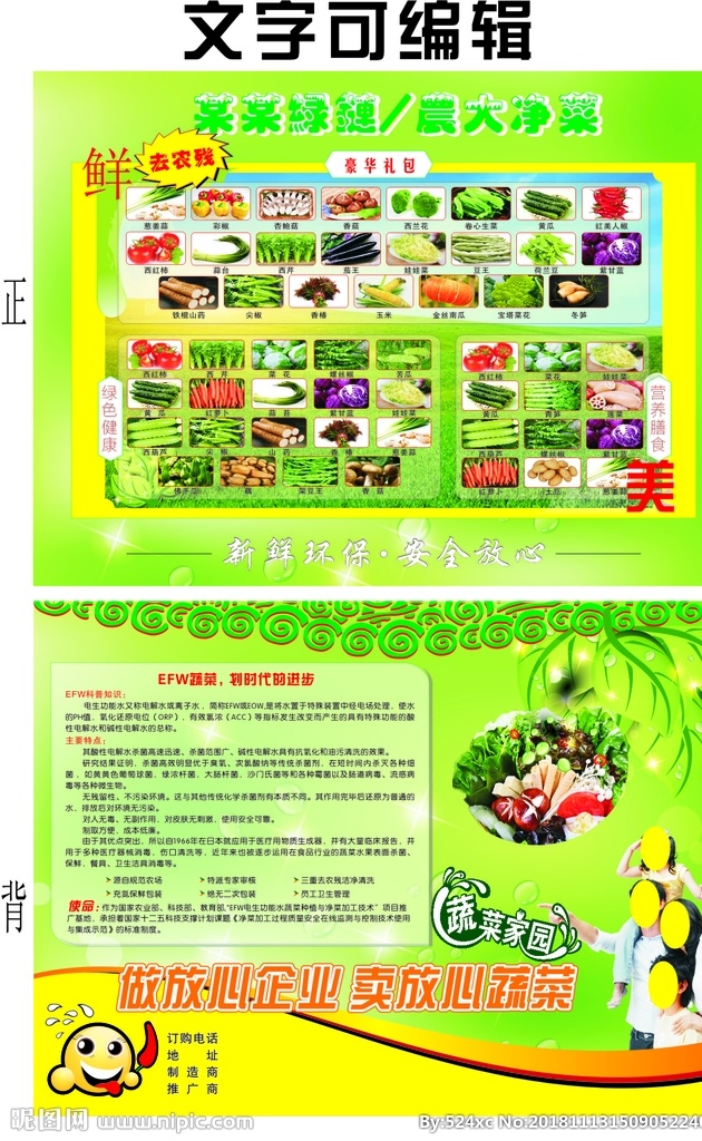 菜品 鲜菜 绿色蔬菜 蔬菜彩页 dm宣传单