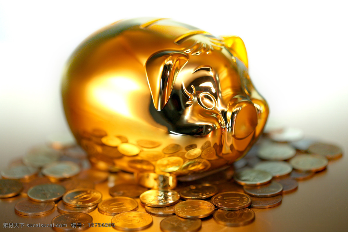 金色 肥猪 图 猪素材 猪猪 金色肥猪图 金融内素材 商务金融
