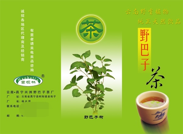 茶叶广告 宣传单 源文件 绿色