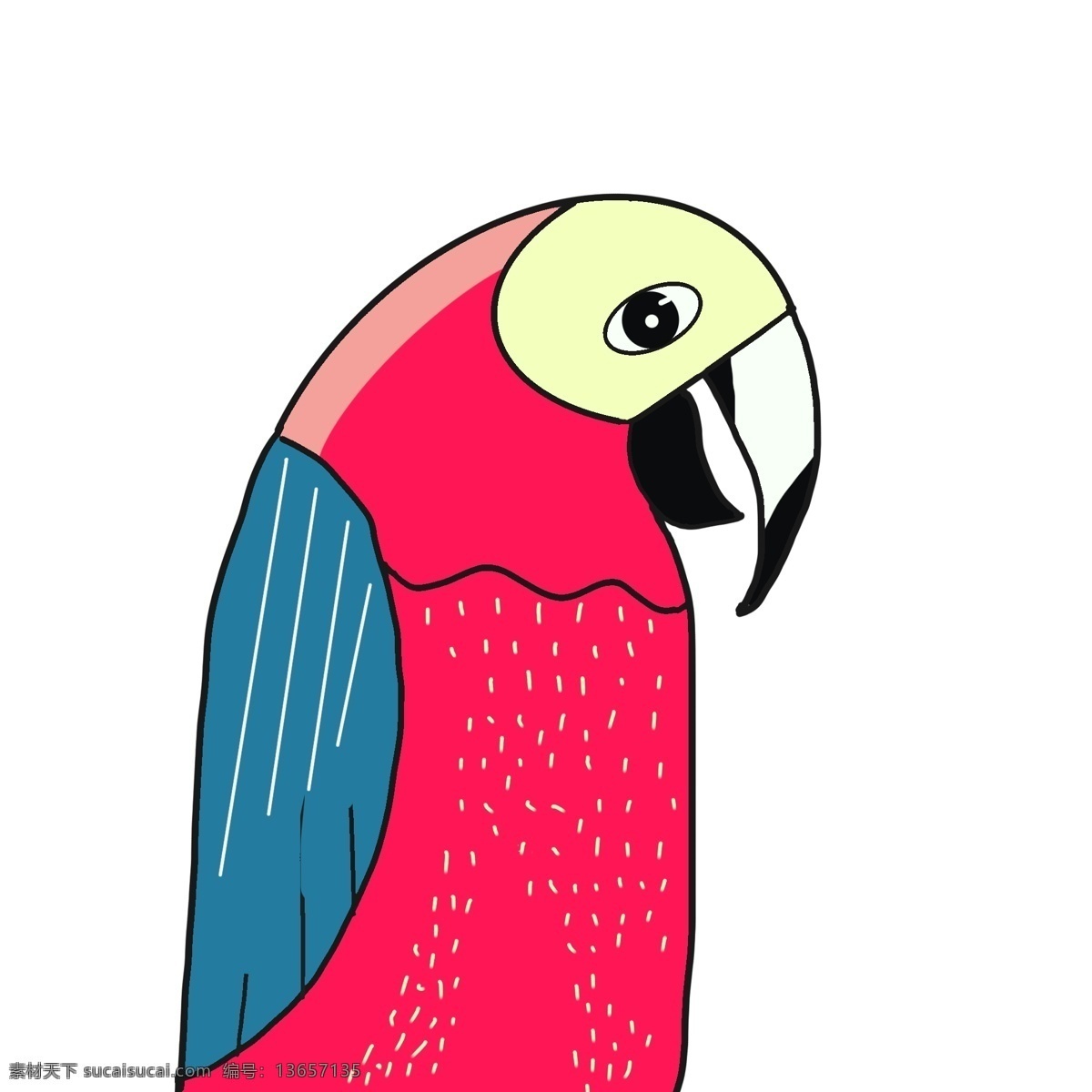 彩绘 小鸟 鹦鹉 动物 卡通 插画 彩色 psd元素