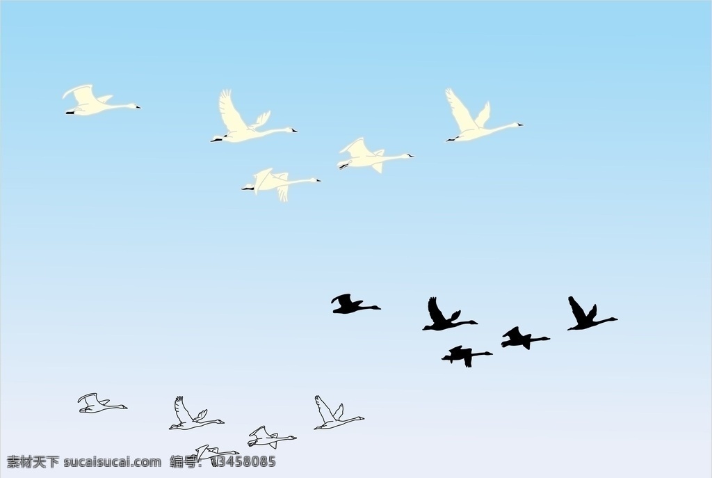 大雁图片 大雁 天鹅 鸟类 禽类 迁徙 回归 途迁 飞翔 候鸟 动物 矢量图 生物世界