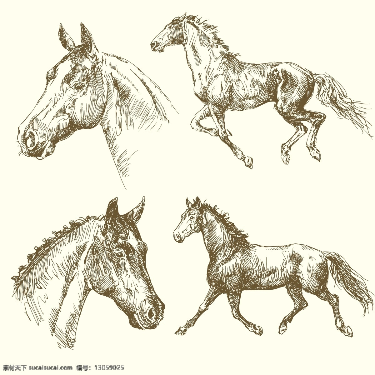 手绘骏马 手绘动物 骏马 家禽家畜 宠物猫 手绘素描动物 手绘 剪影 素描 复古 简笔画 插画 动物 生物世界 野生动物 矢量素材 矢量 美术绘画 文化艺术