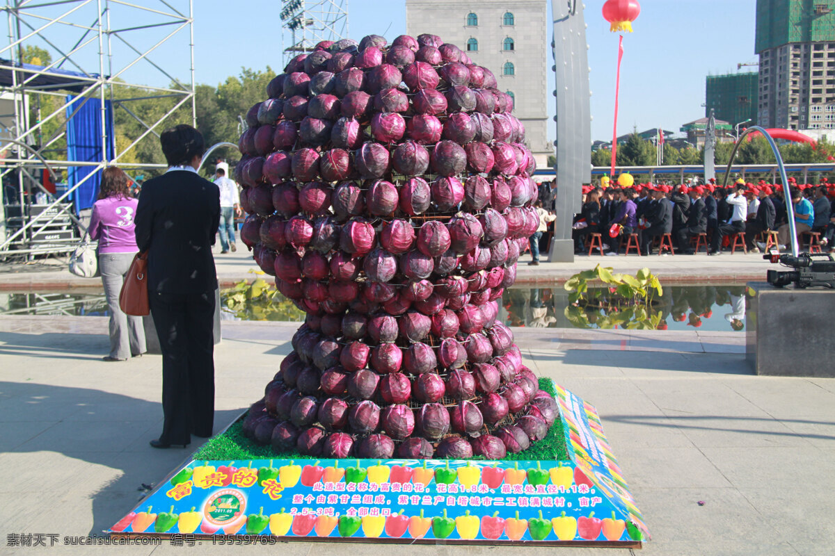 蔬菜 节 生物世界 园艺景观 蔬菜节 蔬菜造型 蔬菜雕塑 蔬菜展览 蔬菜景观 紫甘蓝 紫甘蓝造型 风景 生活 旅游餐饮