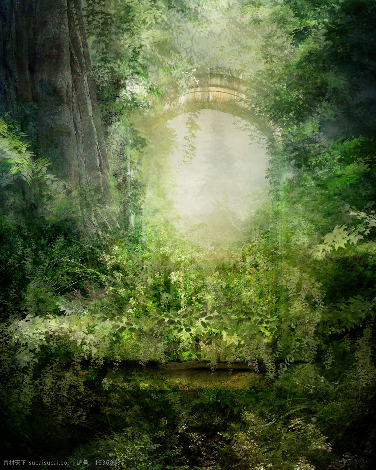 梦幻自然 梦幻 童话 唯美 大自然 森林 草地 朦胧 窗户 藤蔓 自然风景 自然景观 黑色