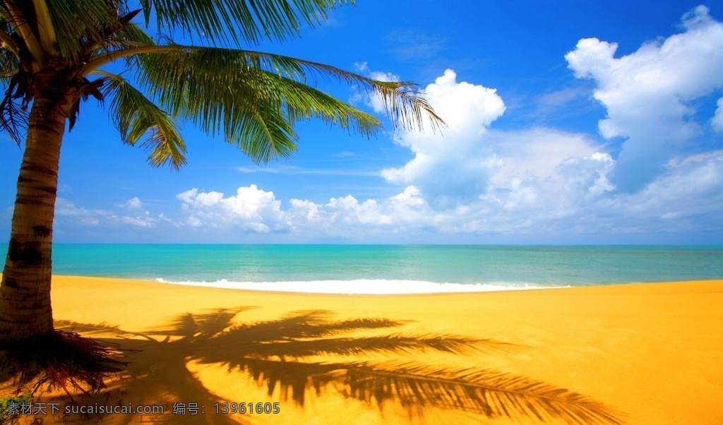 唯美海边 秦皇岛 海边 大海 风景 风光 自然 唯美 清新 意境 沙滩 椰子树 蓝天 白云 旅游摄影 国内旅游